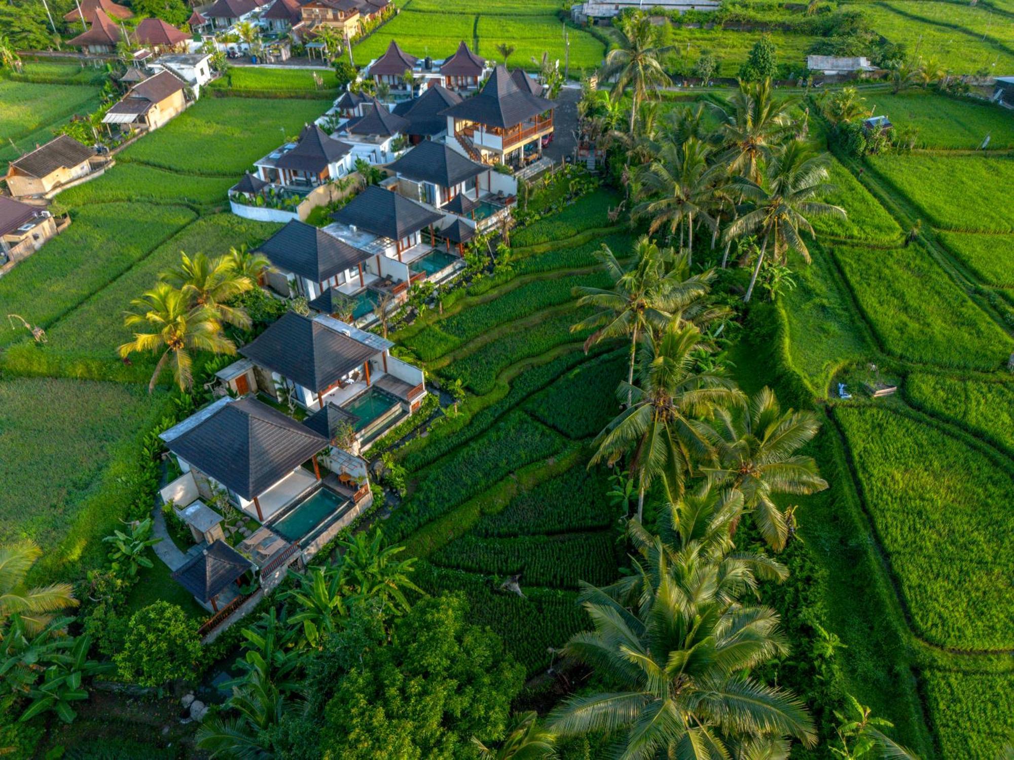 Dewi Kunti Villa Tegallalang  Exteriör bild