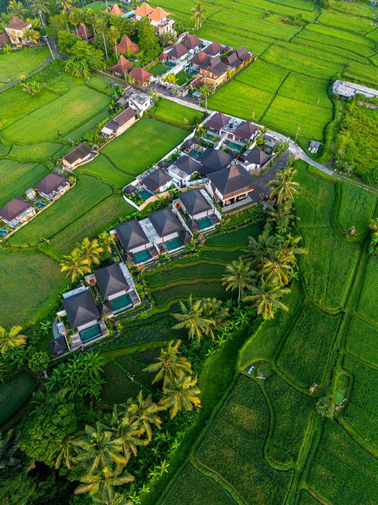 Dewi Kunti Villa Tegallalang  Exteriör bild
